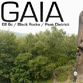 Video van Florian Castagne in Gaia, E8/6c