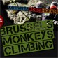 Win 10 maandabonnementen voor Brussels Monkeys Climbing