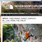 Never Stop Exploring met The North Face